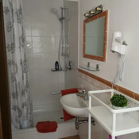 Apartmenthaus Hirsch Dossenheim